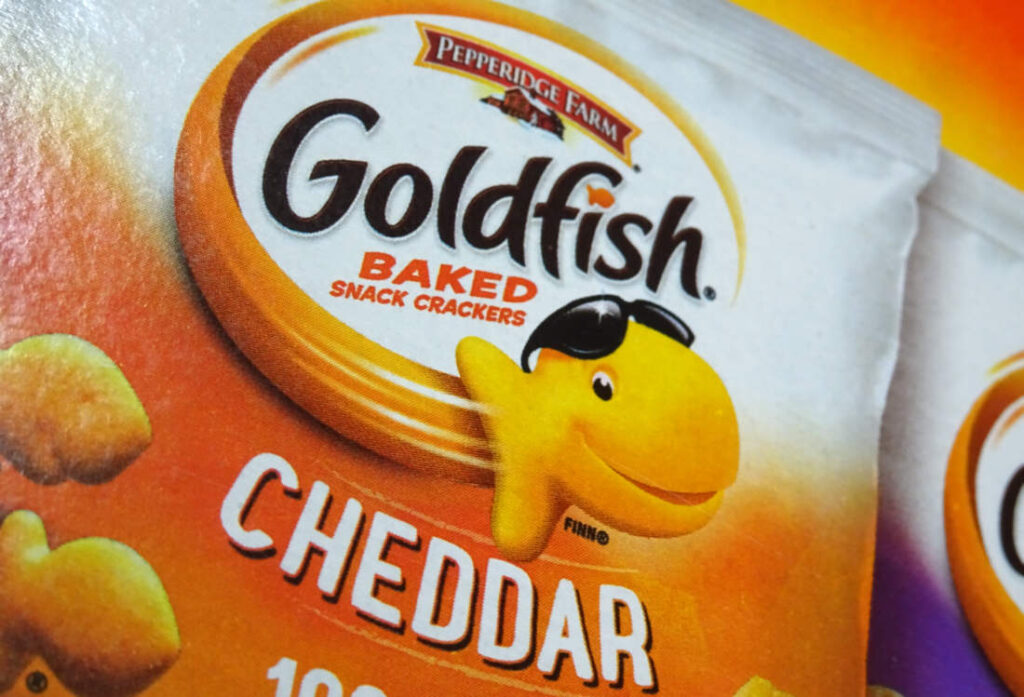 goldfish