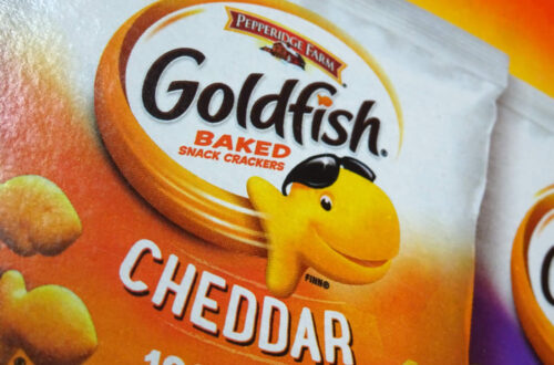 goldfish