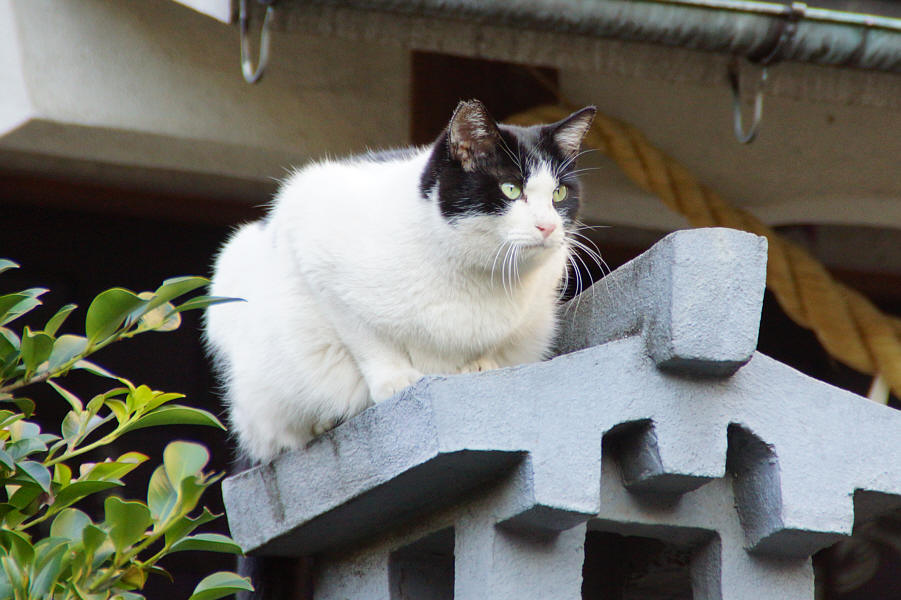 @池袋水天宮